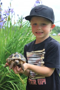 Our Zoo - Boy with Turtle