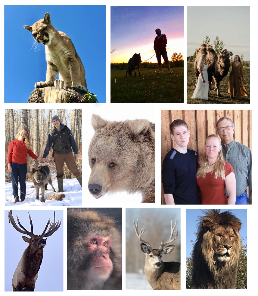 Discovery Wildlife Park and Campground Innisfail, Alberta