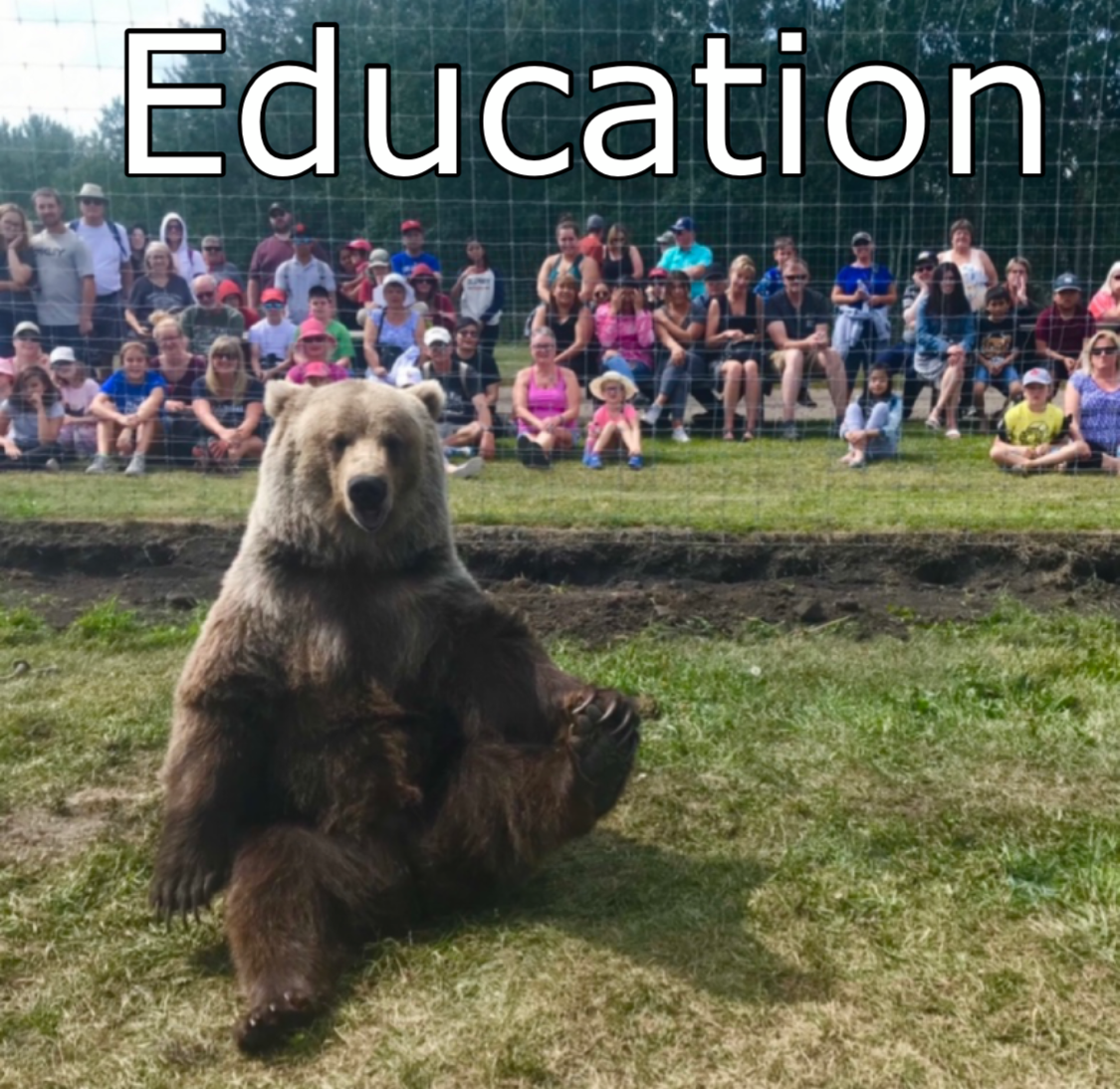 Discovery Wildlife Park & Campground